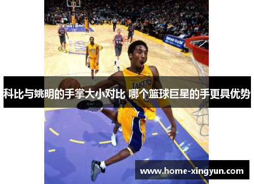 科比与姚明的手掌大小对比 哪个篮球巨星的手更具优势